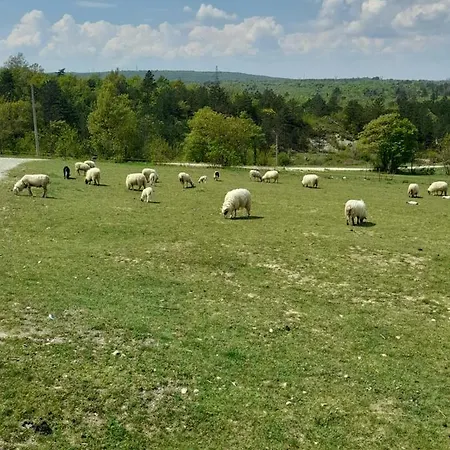 Kuca Za Odmor Lana Διαμέρισμα *