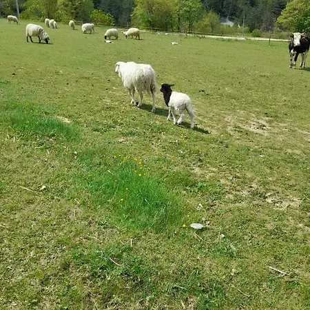 Kuca Za Odmor Lana Apartman Krsan
