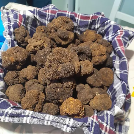 Kuca Za Odmor Lana Krsan